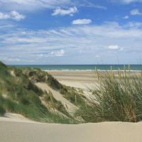 Sand dunes at Ynyslas nature reserve & beach