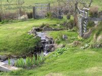 Stream flowing into wildlife pond