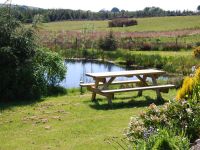 Wildlife pond & picnic table for visitors